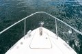 Sea Ray 350 Sundancer