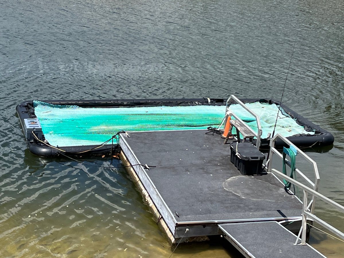 2019 Sea Pen 7m X 3.5m for Sale Boat Accessories Boats Online