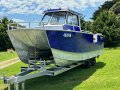 New Alumarine 8.0 Commercial Cat