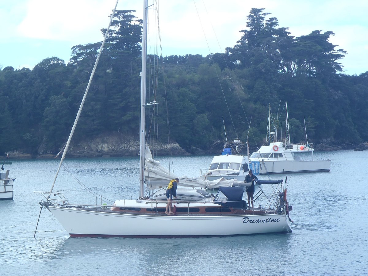 Mitcheson 37