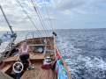 William Garden Porpoise Ketch