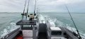 Gospel 7900 Power Catamaran SHARK-CAT