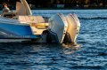 New Chris Craft Launch 31 GT