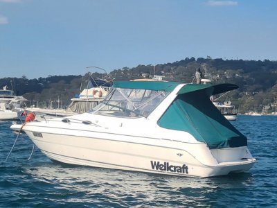 Wellcraft 2600 Martinique Ideal starter boat for the family