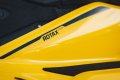 Sea-Doo RXP-X 300