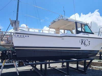 Cougar Cat 25 for sale Gold Coast