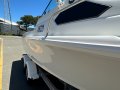 Caribbean Reef Runner 21:Deep shine