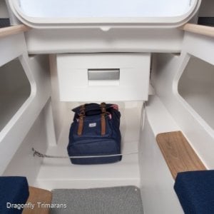 New Dragonfly 25 Swing Wing Touring Fun Speed and Safety