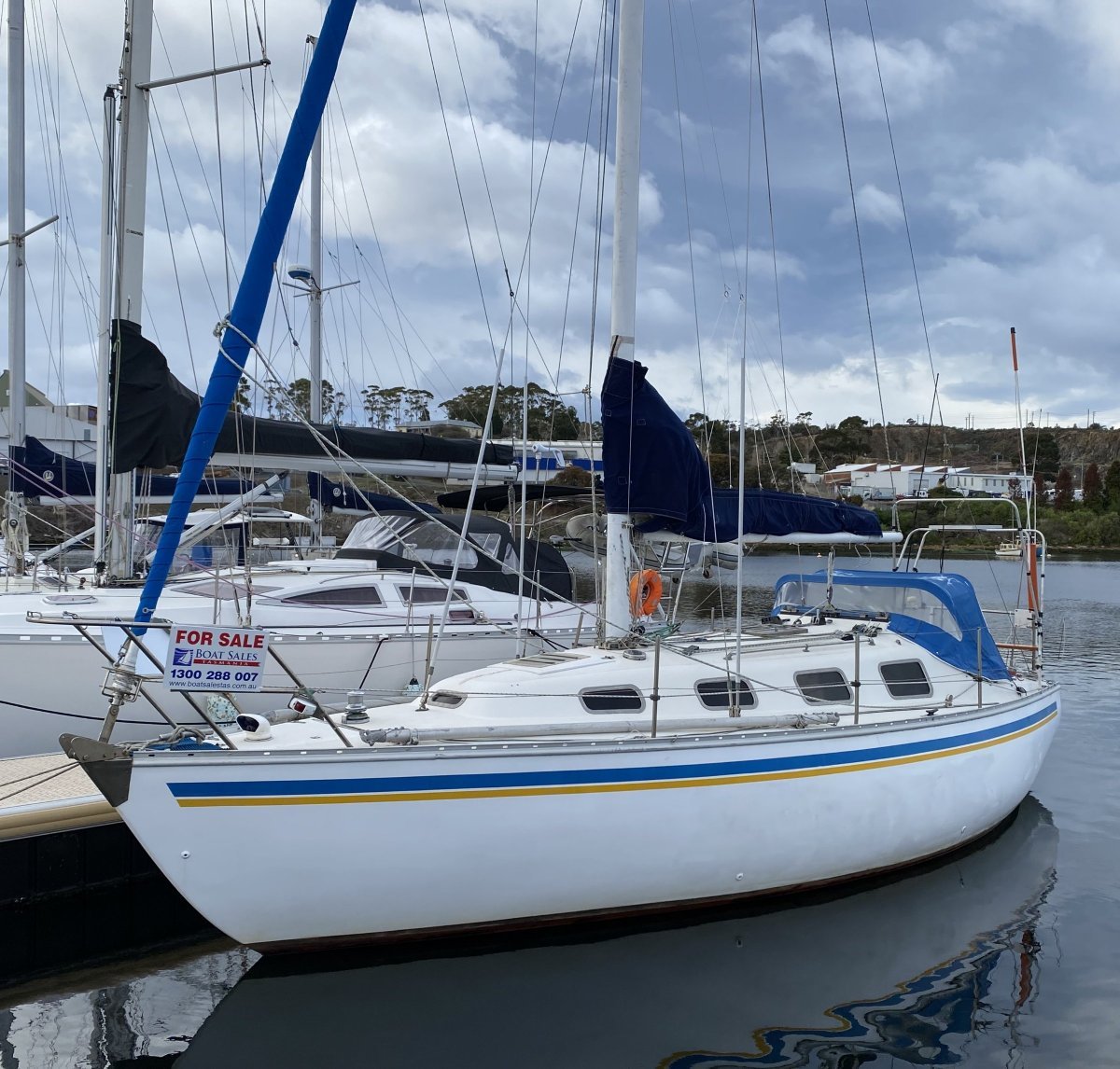 Doven 30 Option
