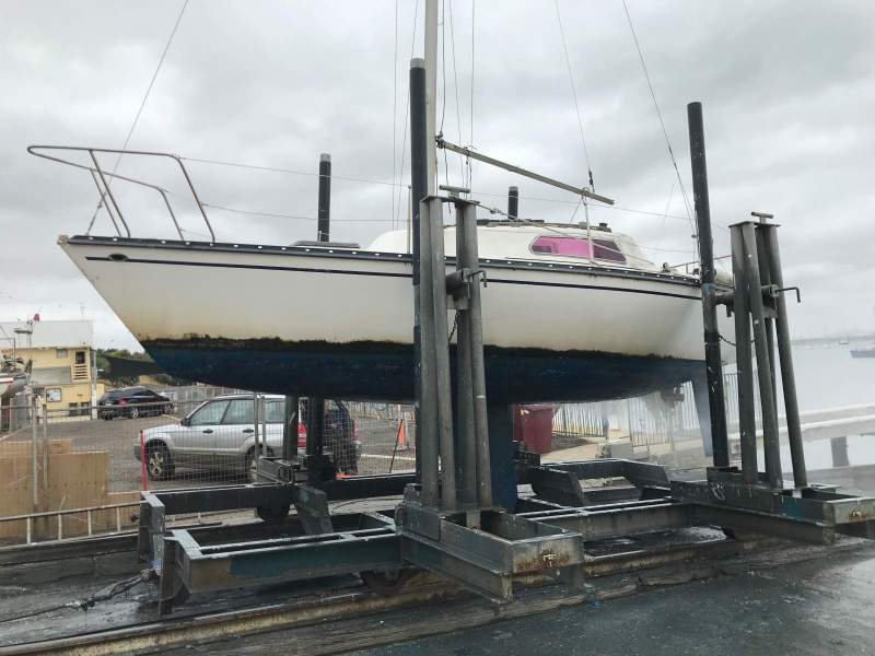 Holland 25