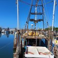 TS612 Cabell NSW Trawl Package