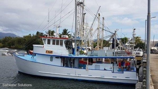 Spanish Mackerel Line Boat: Commercial Vessel, Boats Online for Sale, Timber, Queensland (Qld) - Cairns Region Innisfail QLD