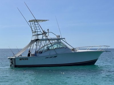 Luhrs 36 Open Tower JUST LISTED