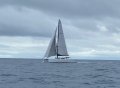 Chincogan 52 Designed by Tony Grainger, extensive refit 2018:Catchus under sail