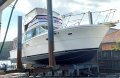 Mariner 3800 Flybridge Cruiser Hardtop