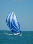 Dibley 8000 Sportsboat:Masthead spinnaker
