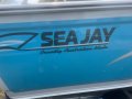 Sea Jay 4.28 Avenger