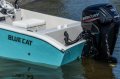 Blue Cat 17 Catamaran