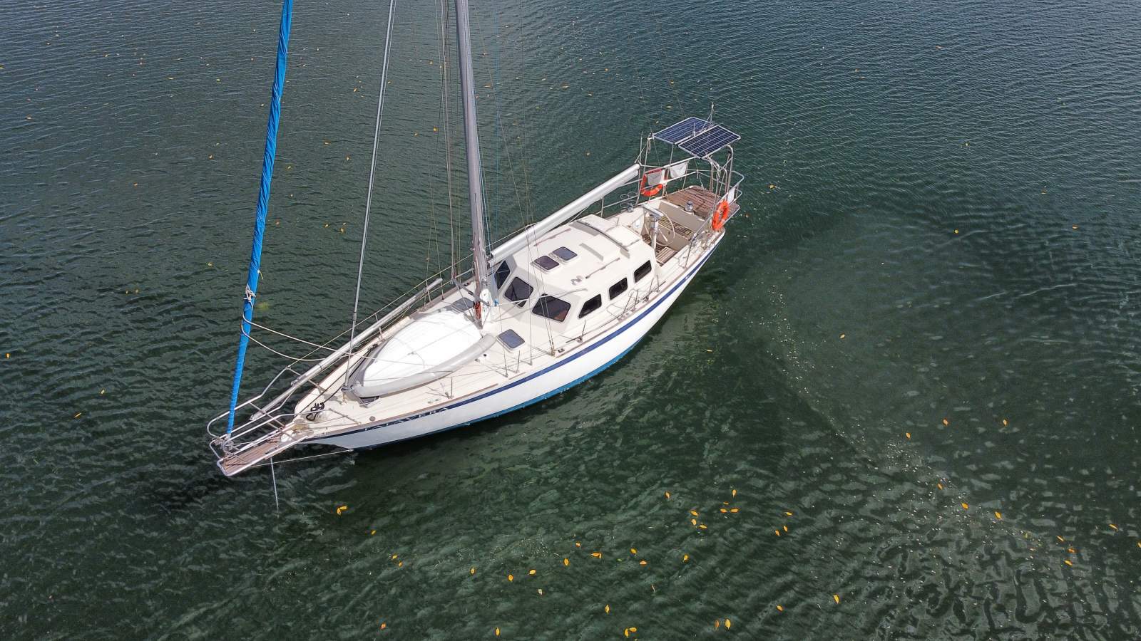 Endurance 35