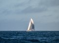 Leopard Catamarans 47 Robertson & Caine L47:Under sail departing Whitsundays in lumpy conditions