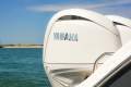 New Sea Fox 268 Traveler