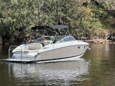 Cobalt 243 Cuddy Cabin Low Hours with Trailer and SeaPen