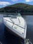 Cobalt 243 Cuddy Cabin Low Hours with Trailer and SeaPen