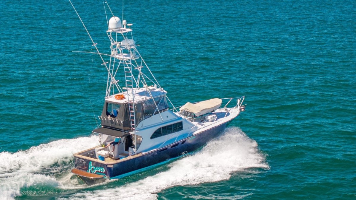 Assegai 54 Flybridge Cruiser