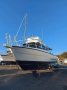 Custom Seaquest Charter