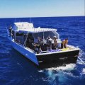 Custom Seaquest Charter