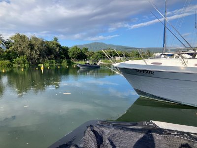 Highly sought after 12m berth at Yorkeys Knob - 10 year lease