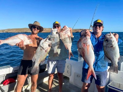 Boat Hire Business Opportunity - Shark Bay