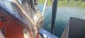 Commercial Prawn Trawler