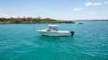 Grady-White Marlin 300