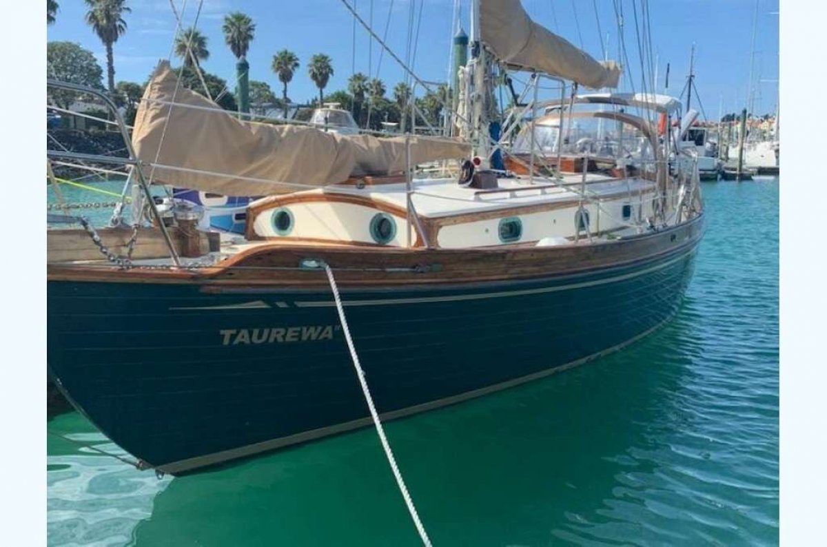 Tayana 37
