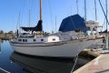 Ted Brewer Cape Carib 33