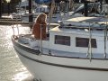 Ted Brewer Cape Carib 33