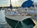 Ted Brewer Cape Carib 33