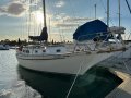 Ted Brewer Cape Carib 33