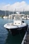 Boston Whaler 320 Outrage