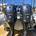 Stingray Ribs 7.5 Searaider
