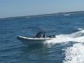 Stingray Ribs 7.5 Searaider