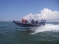 Stingray Ribs 8.5 Searaider