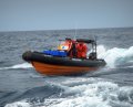 Stingray Ribs 8.5 Searaider