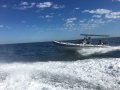 Stingray Ribs 9.5 Searaider