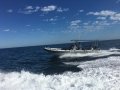 Stingray Ribs 9.5 Searaider