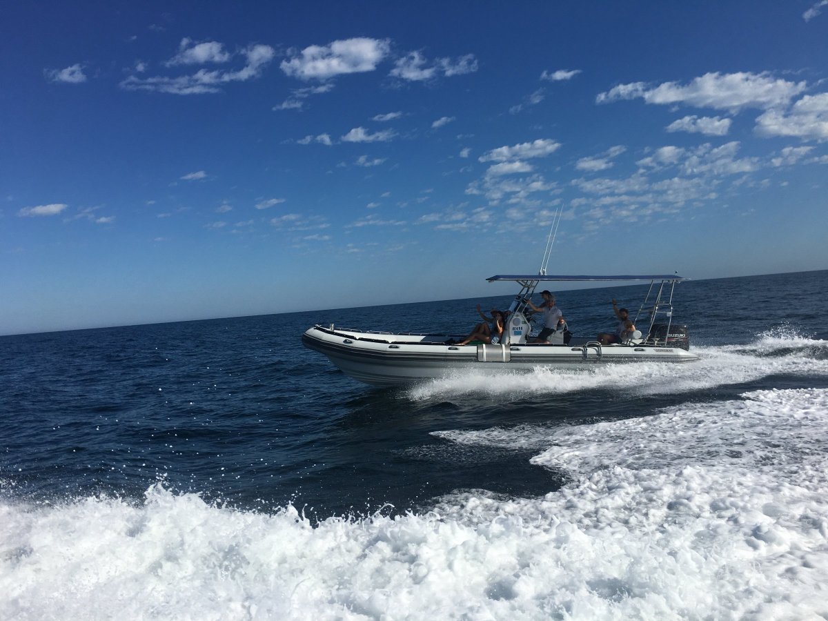 Stingray Ribs 9.5 Searaider