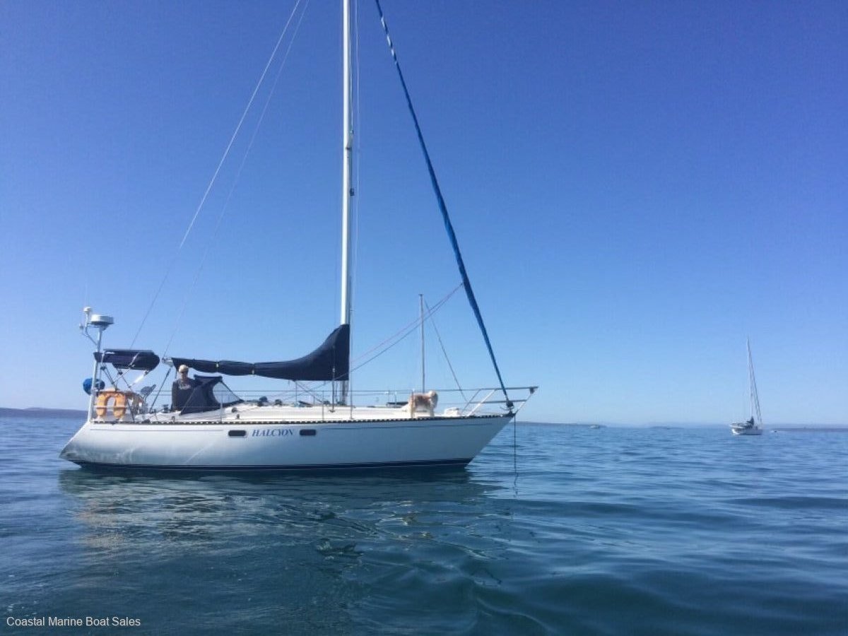 Eastcoast 31