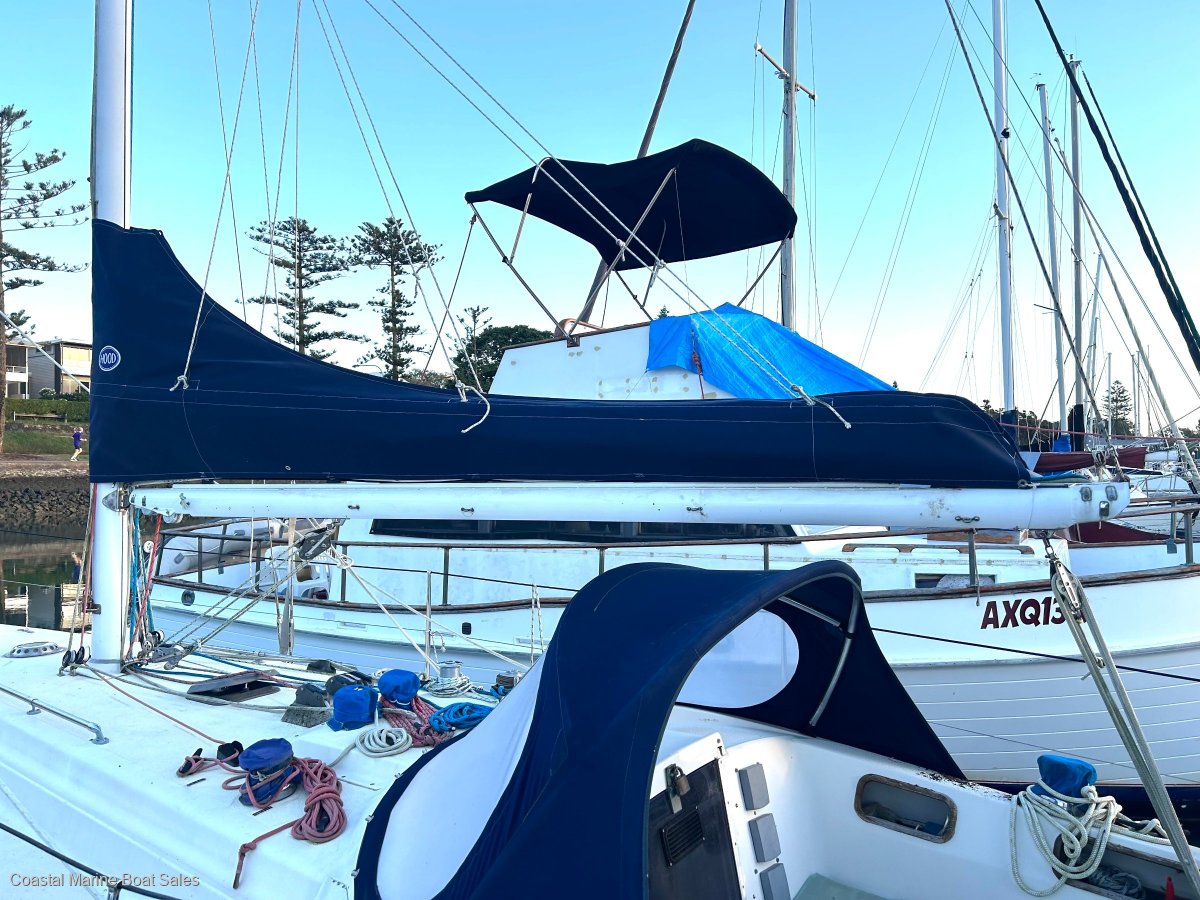 Eastcoast 31