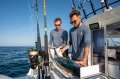 Beneteau Antares 8 V2 Fishing